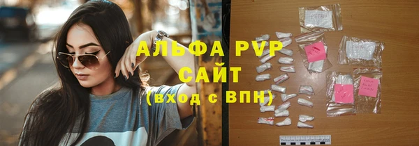 прущие грибы Надым
