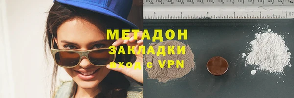 прущие грибы Надым