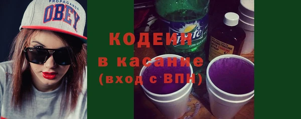прущие грибы Надым