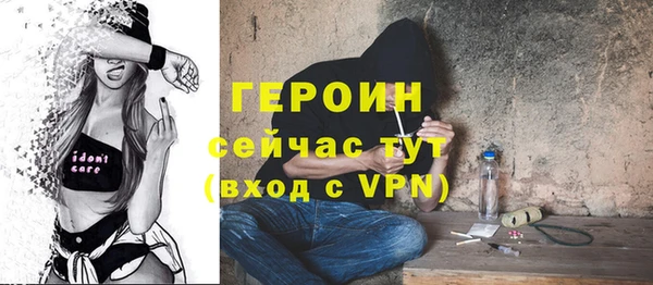 прущие грибы Надым