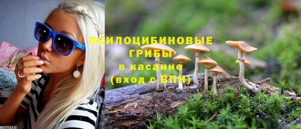 прущие грибы Надым