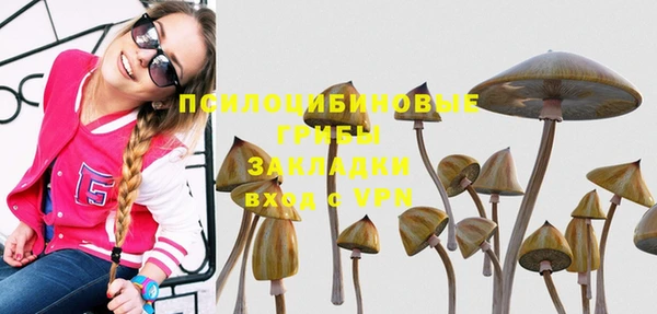 первитин Михайловка