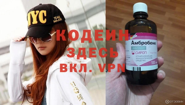 прущие грибы Надым