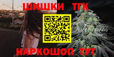 индика Беслан