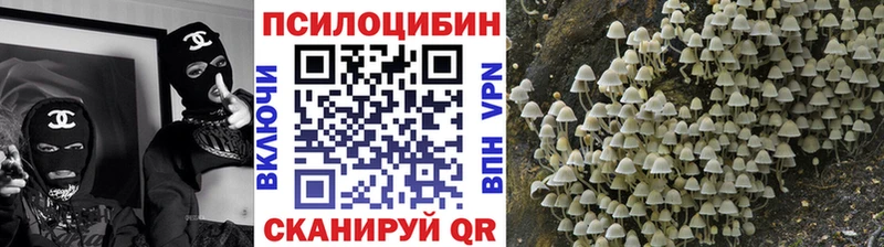 Псилоцибиновые грибы мицелий  Рассказово 