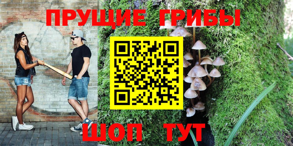 Псилоцибиновые грибы Psilocybe  Рассказово 