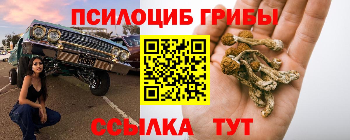 Псилоцибиновые грибы Cubensis Рассказово