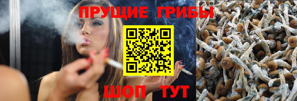 Галлюциногенные грибы Psilocybe Рассказово