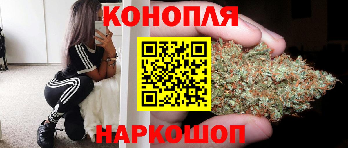 МАРИХУАНА сатива  Канабис конопля  Марихуана Bruce Banner  Рассказово 