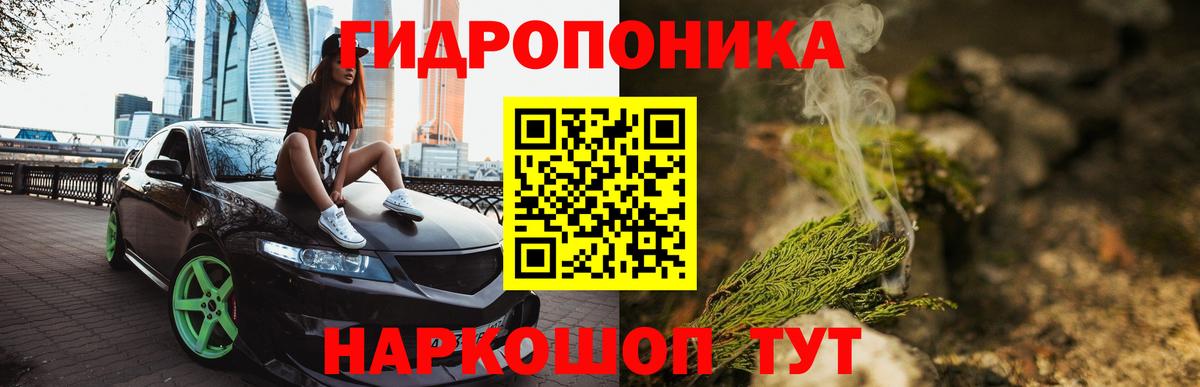 Бошки марихуана OG Kush Рассказово